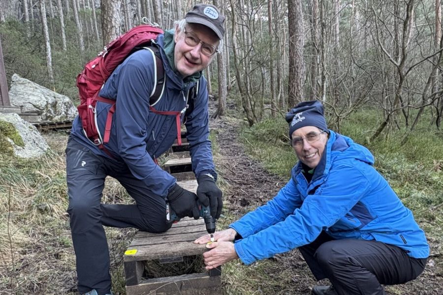 Ti år med dugnad i skauen